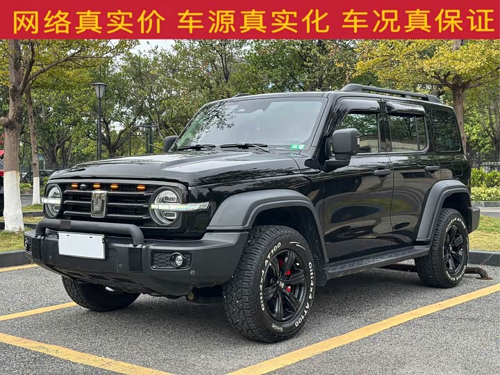 Фото 2 - Tank 300