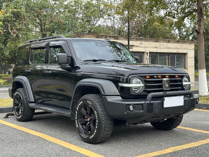 Фото 3 - Tank 300