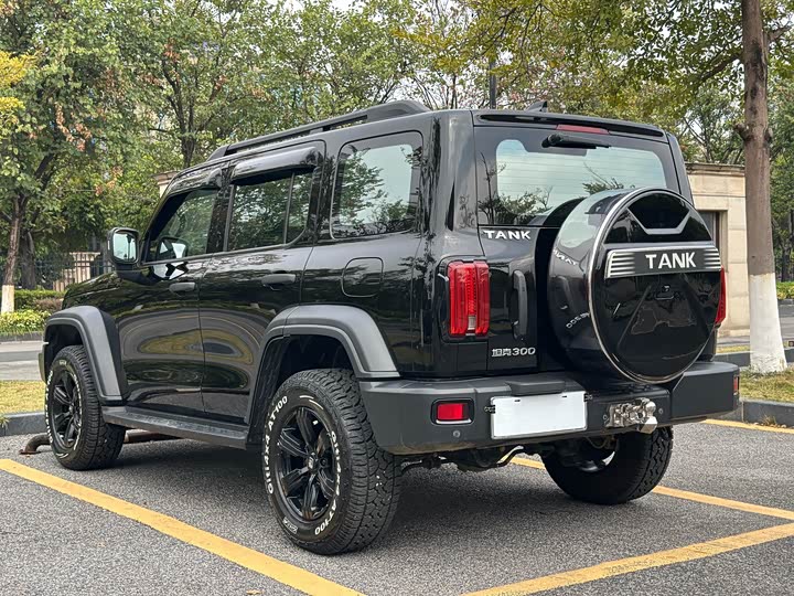 Фото 4 - Tank 300