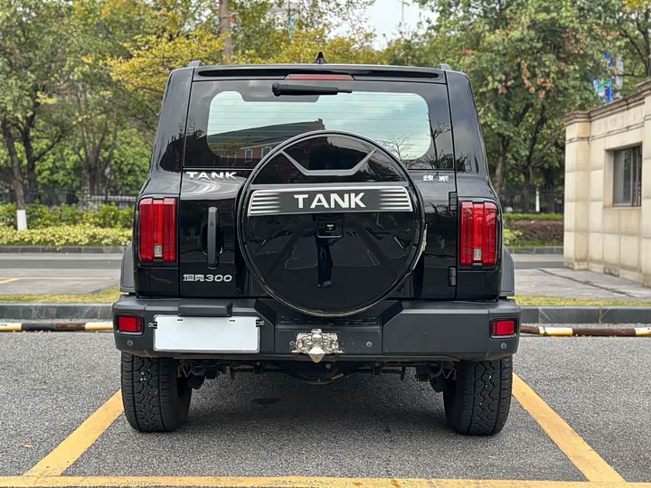 Фото 5 - Tank 300