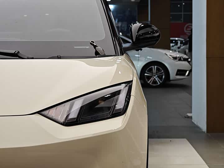 Фото 2 - BYD Seagull