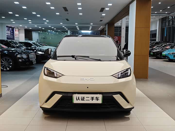 Фото 3 - BYD Seagull