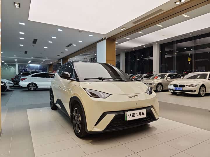 Фото 4 - BYD Seagull