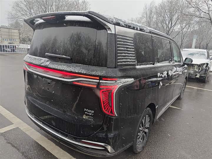 Фото 7 - Hongqi HQ9 Hybrid