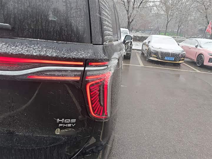 Фото 8 - Hongqi HQ9 Hybrid