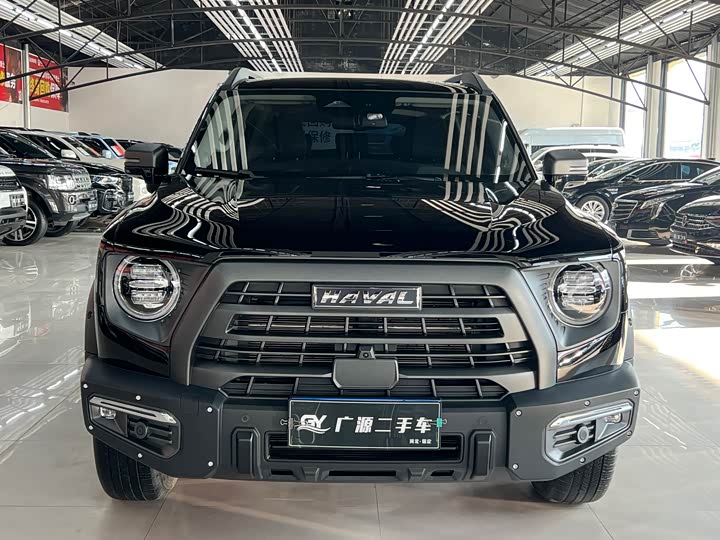 Фото 2 - Haval Dargo