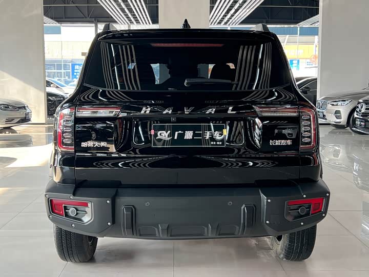 Фото 5 - Haval Dargo