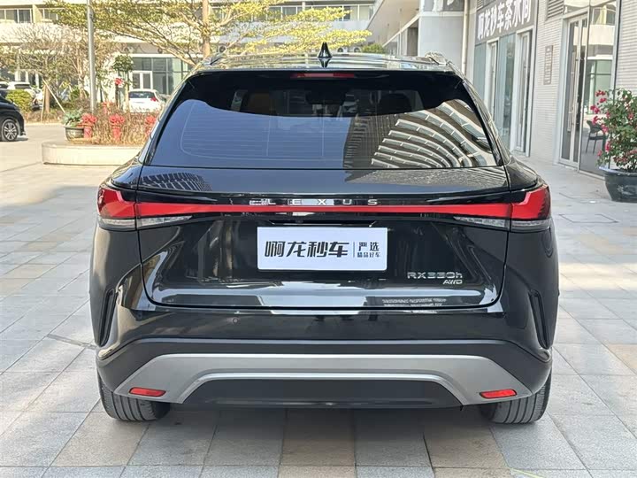 Фото 8 - Lexus RX