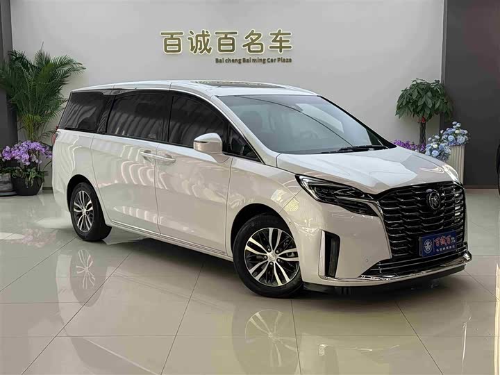 Фото 4 - Buick GL8 ES