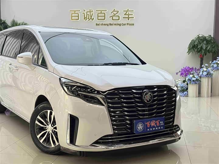 Фото 5 - Buick GL8 ES