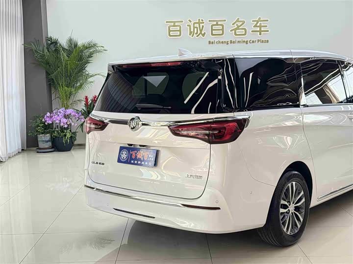 Фото 7 - Buick GL8 ES