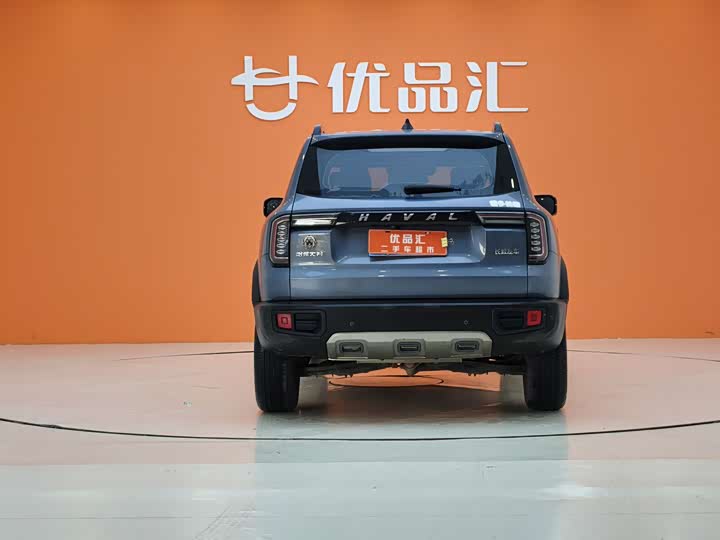 Фото 4 - Haval Dargo