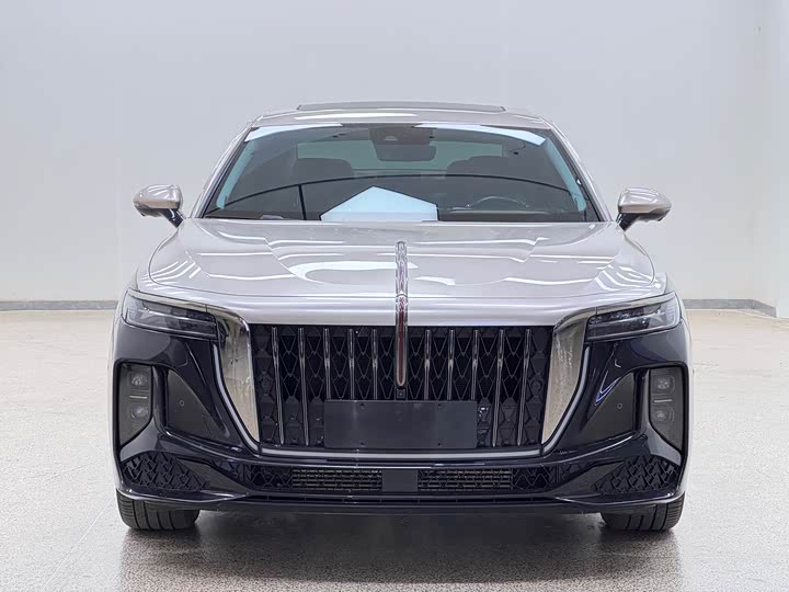 Фото 2 - Hongqi H9