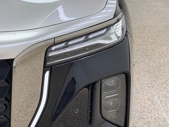 Фото 9 - Hongqi H9