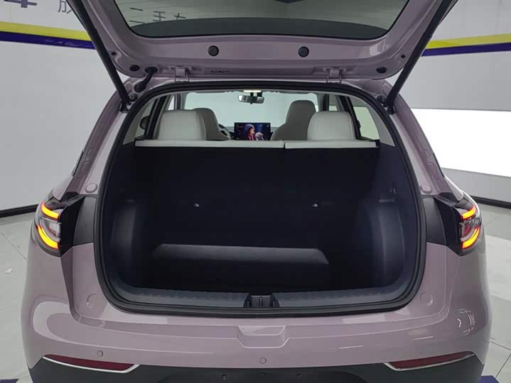 Фото 4 - Geely Galaxy Geome