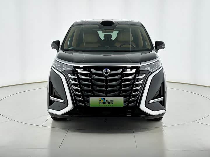 Фото 1 - Denza D9