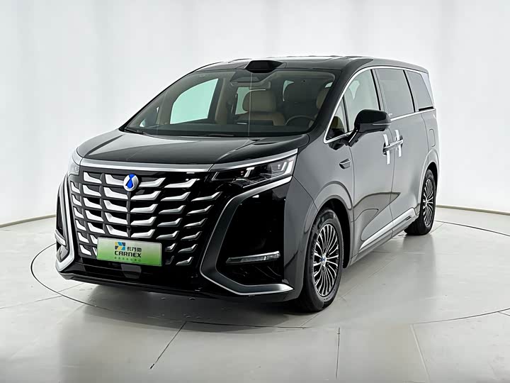 Фото 2 - Denza D9