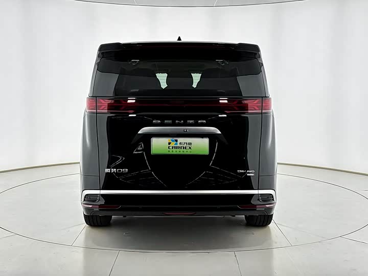 Фото 4 - Denza D9