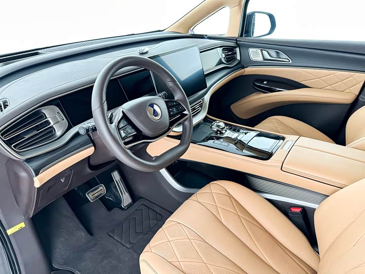 Фото 6 - Denza D9