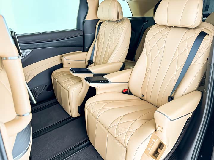 Фото 9 - Denza D9