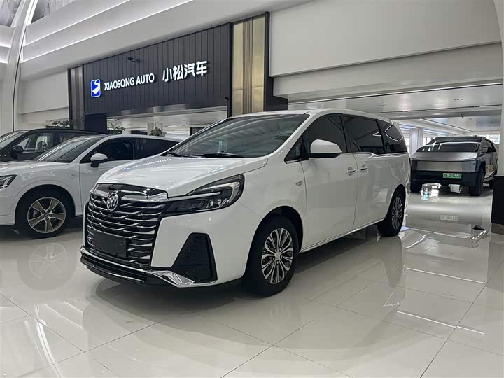 Фото 1 - Buick GL8 ES