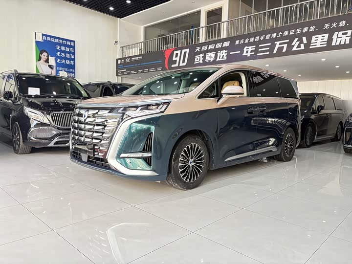 Фото 1 - Denza D9