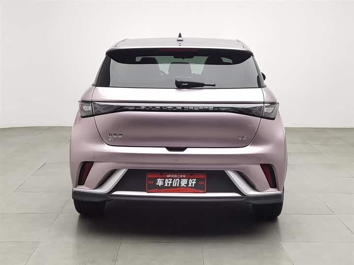 Фото 4 - BYD Dolphin