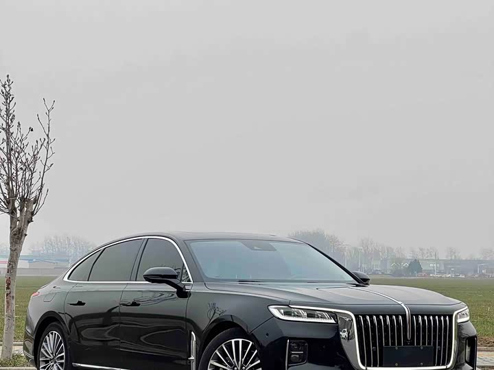 Фото 1 - Hongqi H9