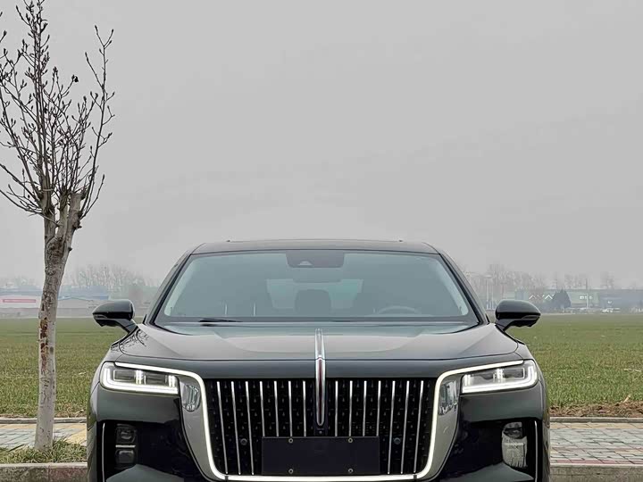 Фото 2 - Hongqi H9