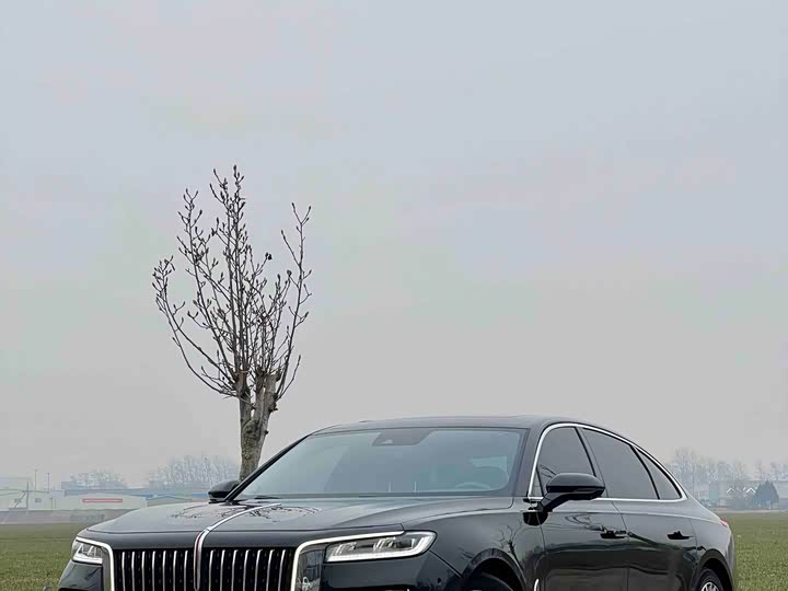 Фото 3 - Hongqi H9
