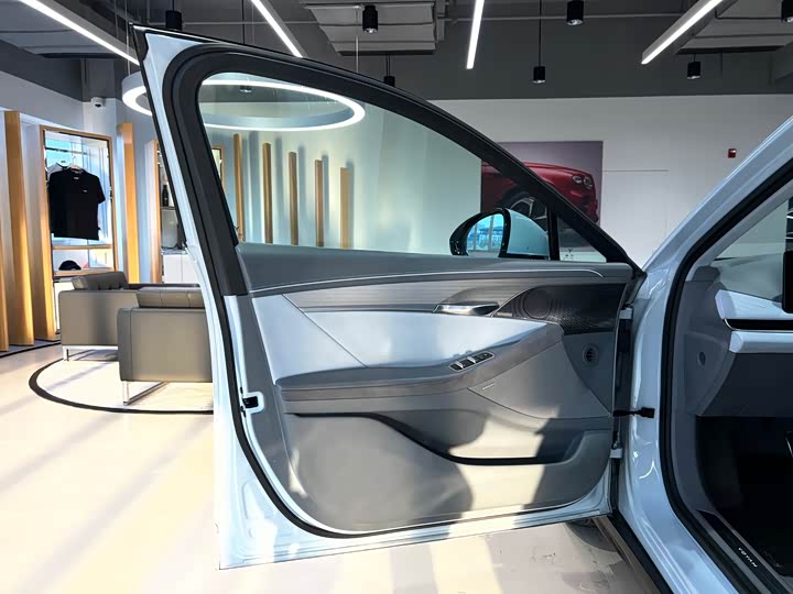 Фото 7 - Voyah Passion