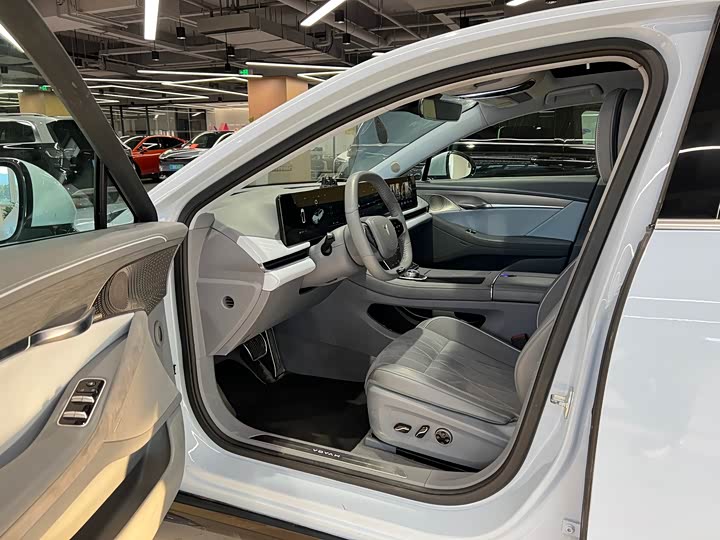 Фото 8 - Voyah Passion