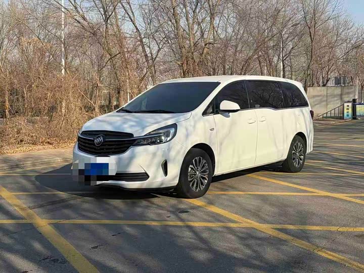 Фото 1 - Buick GL8 ES