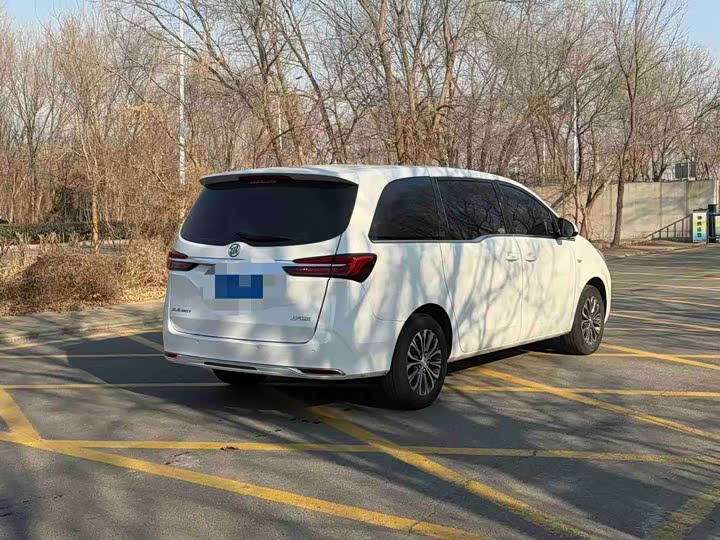 Фото 9 - Buick GL8 ES