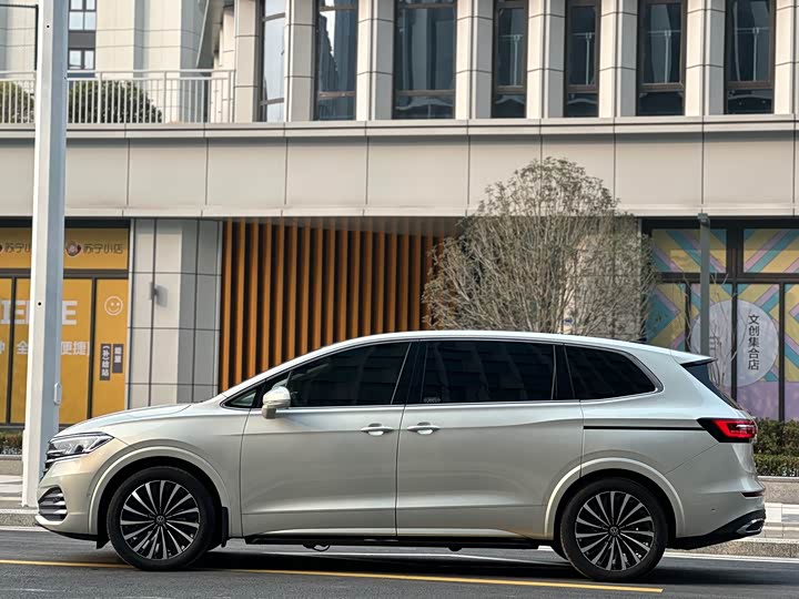 Фото 6 - Volkswagen Viloran