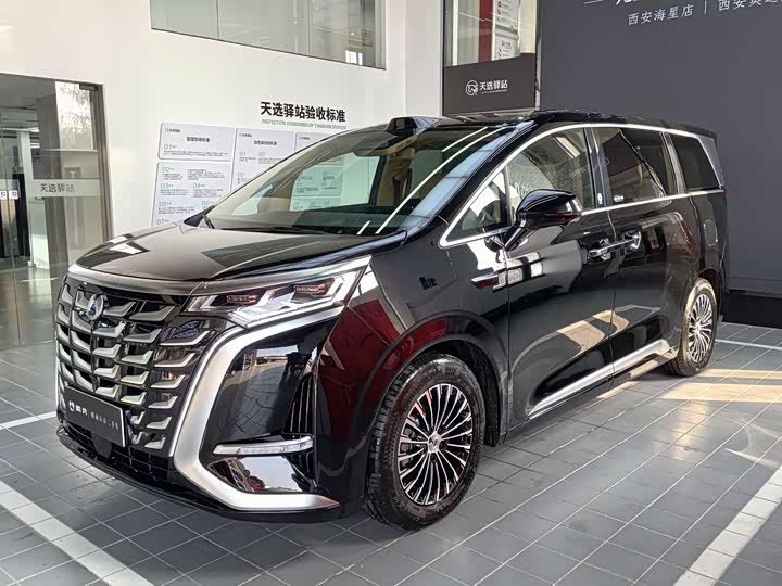 Фото 1 - Denza D9