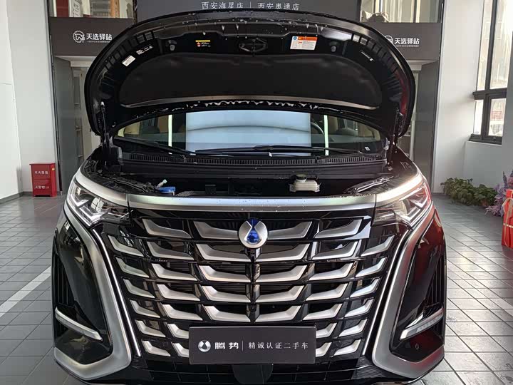 Фото 2 - Denza D9