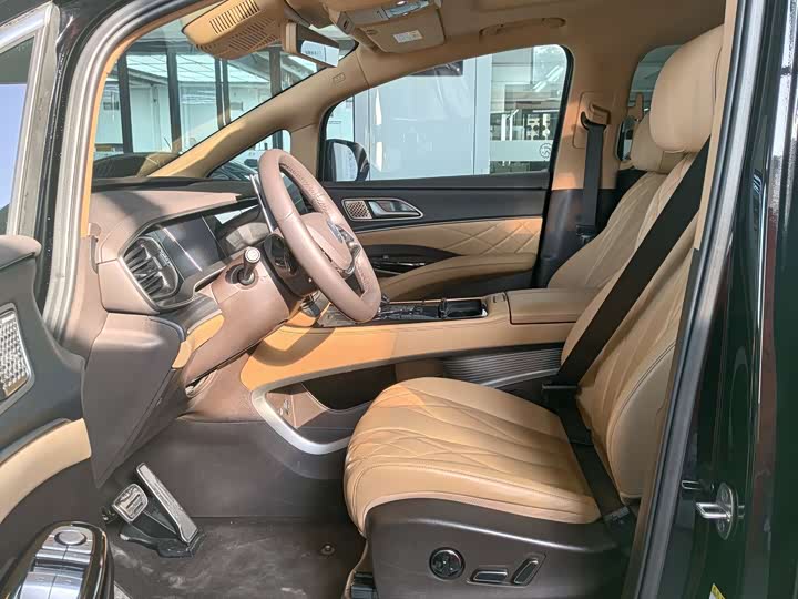 Фото 4 - Denza D9