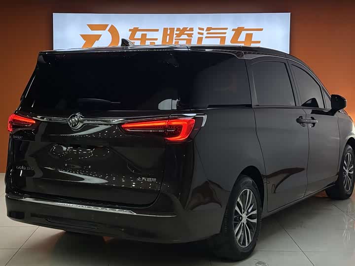 Фото 5 - Buick GL8 ES