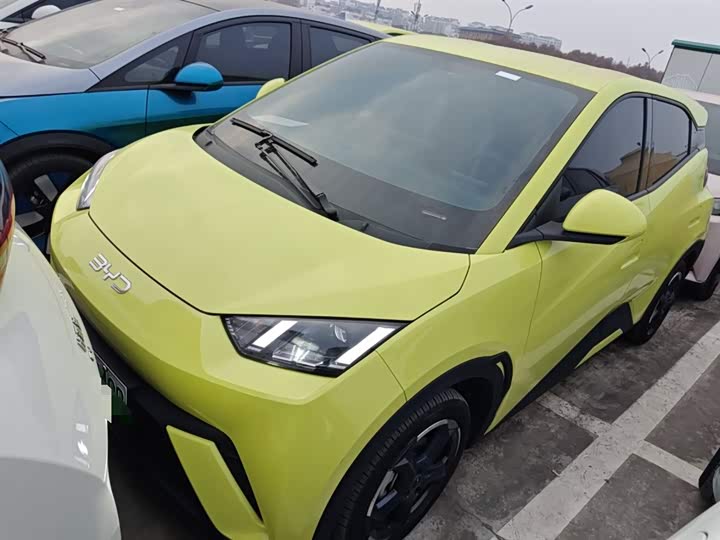 Фото 1 - BYD Seagull