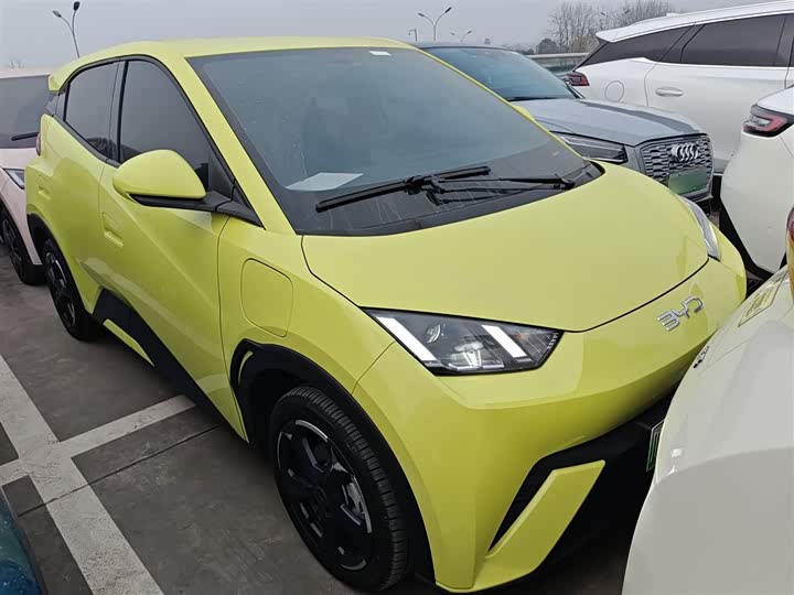 Фото 4 - BYD Seagull