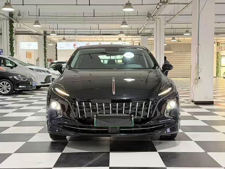 Фото 2 - Hongqi E-QM5