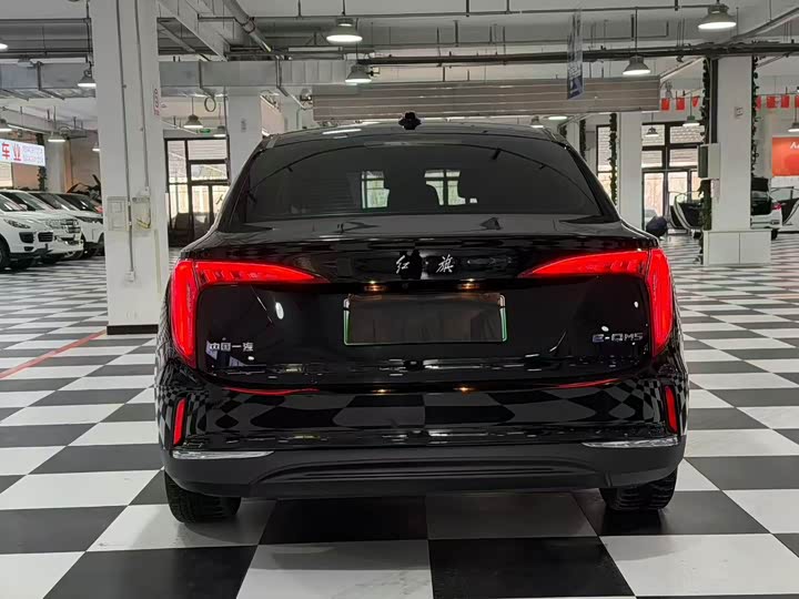 Фото 8 - Hongqi E-QM5