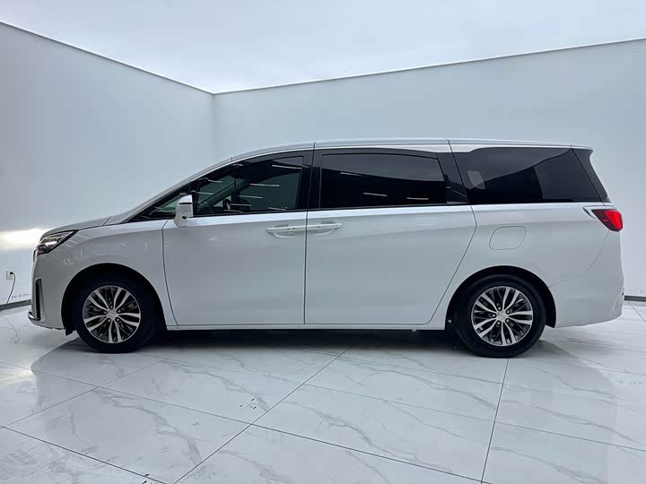 Фото 3 - Buick GL8 ES