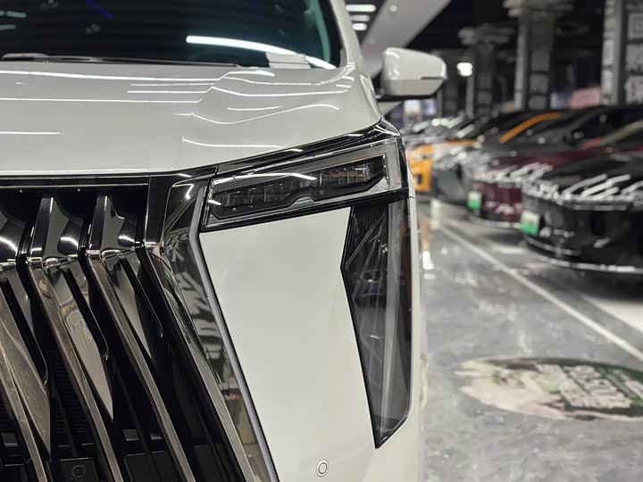 Фото 5 - GAC Trumpchi E9