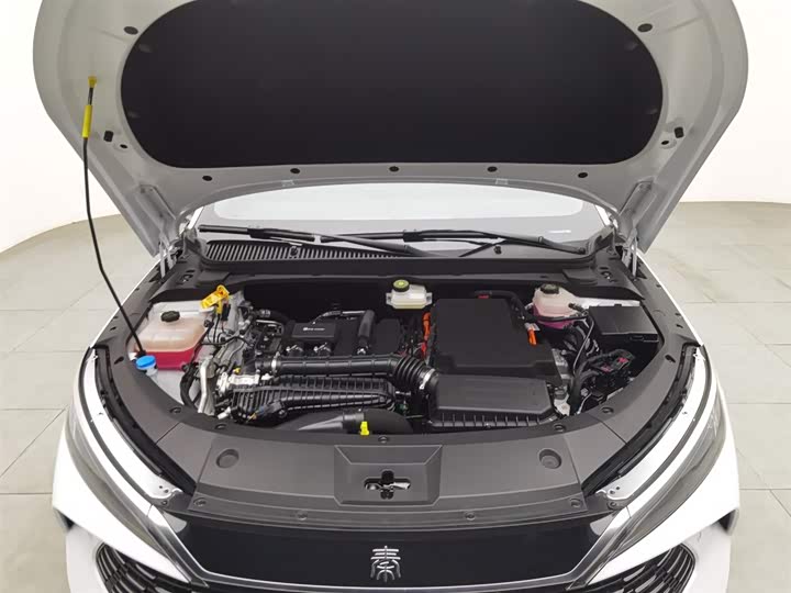 Фото 6 - BYD Qin L