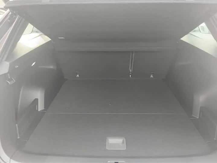 Фото 4 - Volkswagen Tavendor