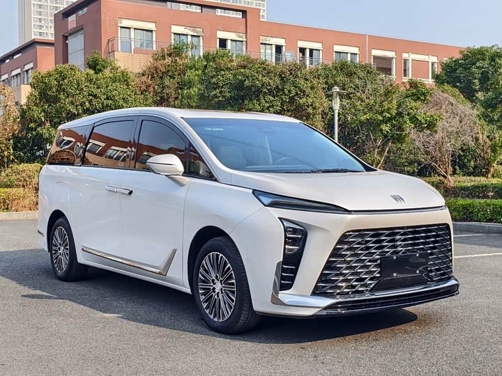 Фото 2 - Buick GL8 Hybrid