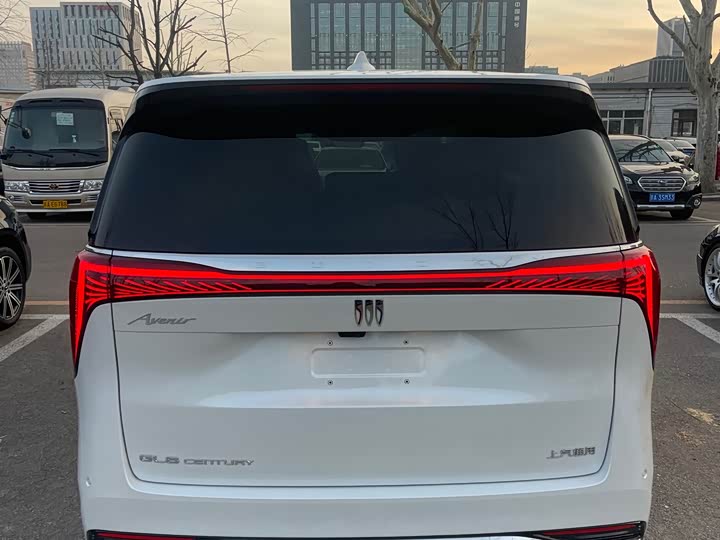 Фото 4 - Buick GL8 Century