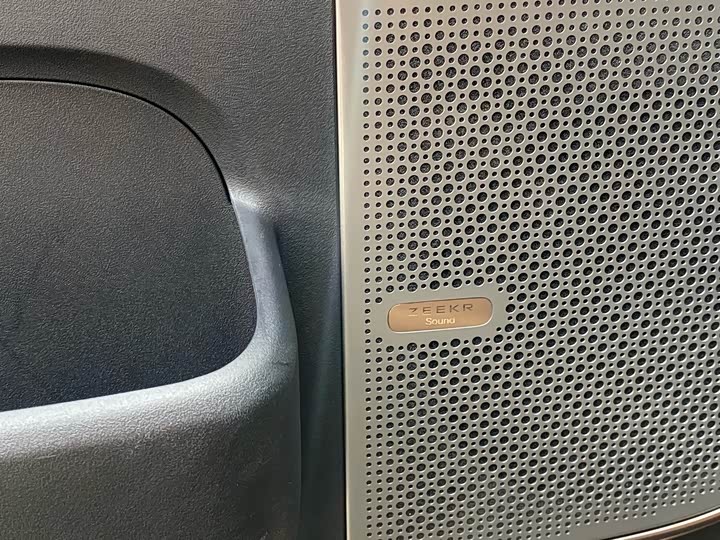 Фото 9 - Zeekr Mix